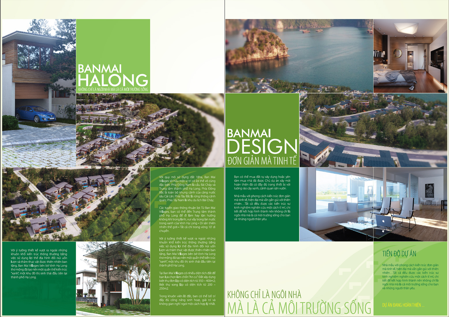 Catalog Design – Ban Mai Ha Long