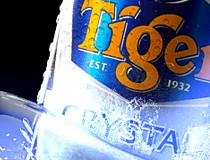 Tiger Beer shop visualization